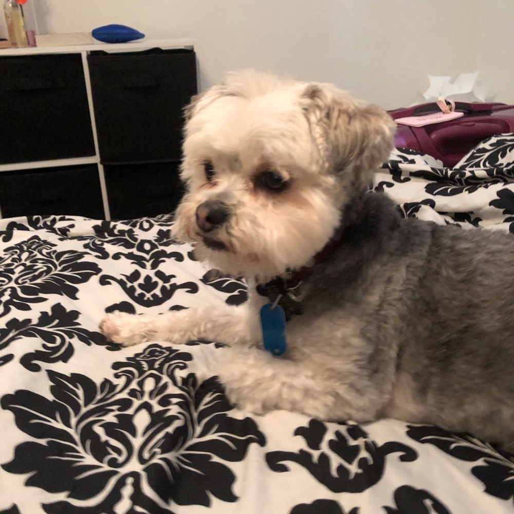 Meet your Posher, Regan